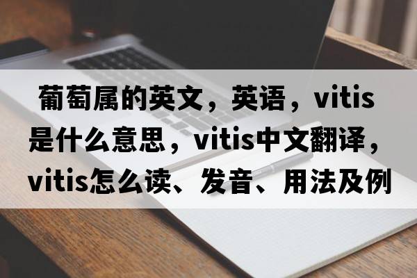  葡萄属的英文，英语，Vitis是什么意思，Vitis中文翻译，Vitis怎么读、发音、用法及例句