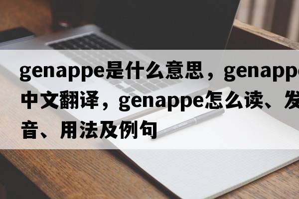 genappe是什么意思，genappe中文翻译，genappe怎么读、发音、用法及例句