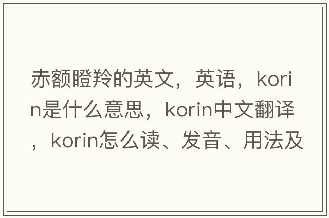 赤额瞪羚的英文，英语，korin是什么意思，korin中文翻译，korin怎么读、发音、用法及例句