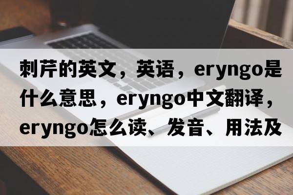 刺芹的英文，英语，eryngo是什么意思，eryngo中文翻译，eryngo怎么读、发音、用法及例句