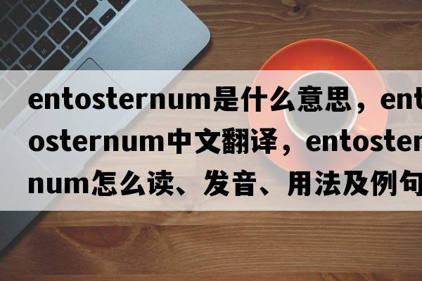 entosternum是什么意思，entosternum中文翻译，entosternum怎么读、发音、用法及例句