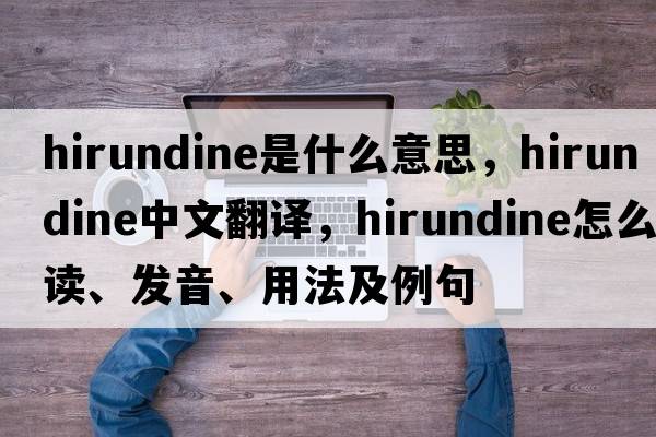 hirundine是什么意思，hirundine中文翻译，hirundine怎么读、发音、用法及例句