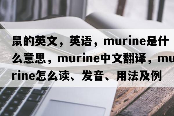 鼠的英文，英语，murine是什么意思，murine中文翻译，murine怎么读、发音、用法及例句