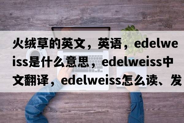 火绒草的英文，英语，edelweiss是什么意思，edelweiss中文翻译，edelweiss怎么读、发音、用法及例句