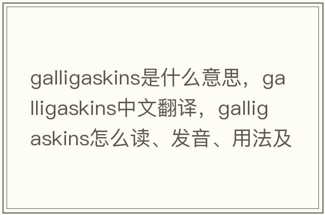 galligaskins是什么意思，galligaskins中文翻译，galligaskins怎么读、发音、用法及例句