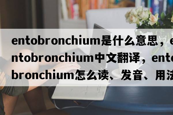 entobronchium是什么意思，entobronchium中文翻译，entobronchium怎么读、发音、用法及例句