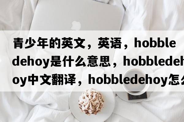 青少年的英文，英语，hobbledehoy是什么意思，hobbledehoy中文翻译，hobbledehoy怎么读、发音、用法及例句