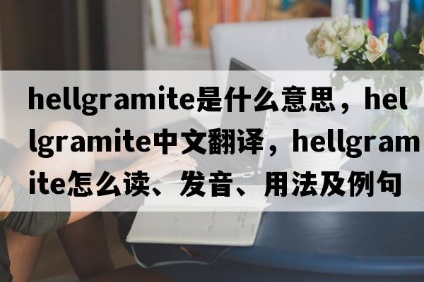 hellgramite是什么意思，hellgramite中文翻译，hellgramite怎么读、发音、用法及例句