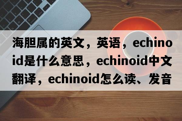 海胆属的英文，英语，echinoid是什么意思，echinoid中文翻译，echinoid怎么读、发音、用法及例句