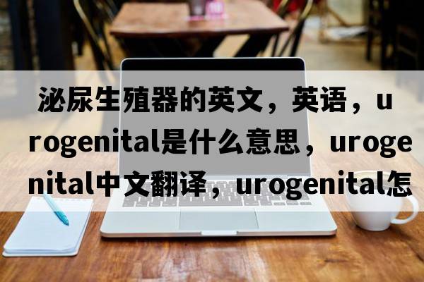  泌尿生殖器的英文，英语，urogenital是什么意思，urogenital中文翻译，urogenital怎么读、发音、用法及例句