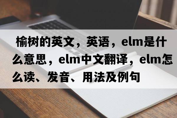  榆树的英文，英语，elm是什么意思，elm中文翻译，elm怎么读、发音、用法及例句