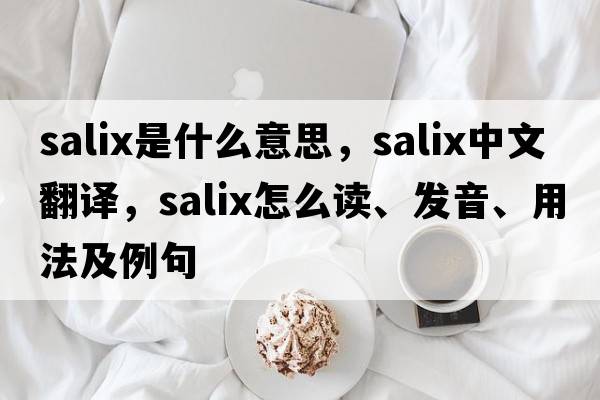 Salix是什么意思，Salix中文翻译，Salix怎么读、发音、用法及例句