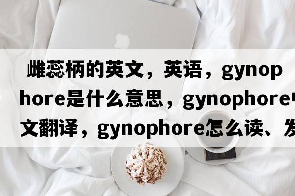  雌蕊柄的英文，英语，gynophore是什么意思，gynophore中文翻译，gynophore怎么读、发音、用法及例句