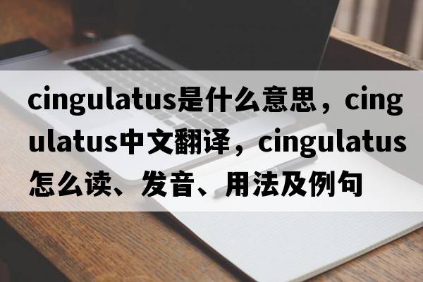 cingulatus是什么意思，cingulatus中文翻译，cingulatus怎么读、发音、用法及例句