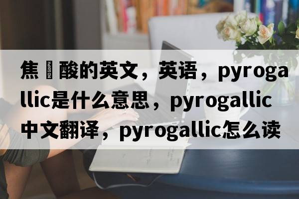 焦棓酸的英文，英语，pyrogallic是什么意思，pyrogallic中文翻译，pyrogallic怎么读、发音、用法及例句