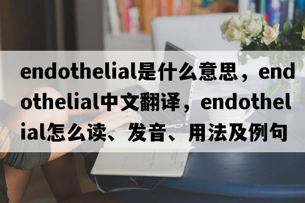 endothelial是什么意思，endothelial中文翻译，endothelial怎么读、发音、用法及例句