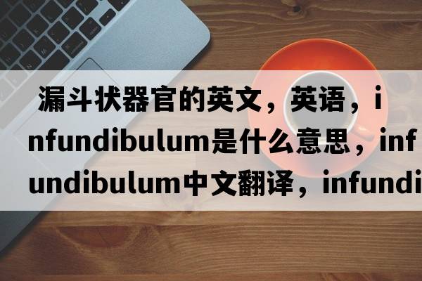  漏斗状器官的英文，英语，infundibulum是什么意思，infundibulum中文翻译，infundibulum怎么读、发音、用法及例句