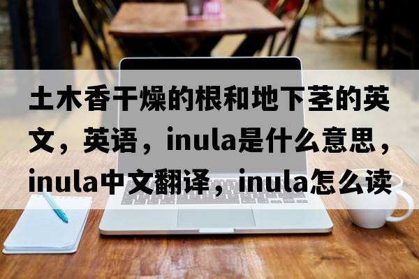 土木香干燥的根和地下茎的英文，英语，inula是什么意思，inula中文翻译，inula怎么读、发音、用法及例句