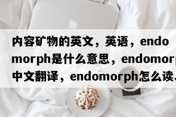 内容矿物的英文，英语，endomorph是什么意思，endomorph中文翻译，endomorph怎么读、发音、用法及例句