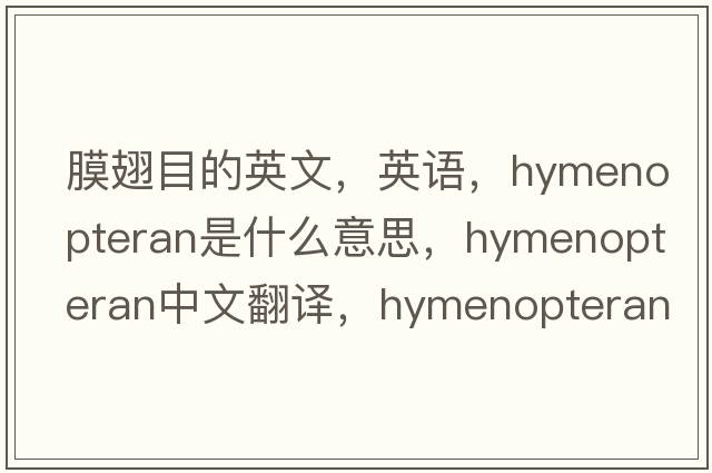 膜翅目的英文，英语，hymenopteran是什么意思，hymenopteran中文翻译，hymenopteran怎么读、发音、用法及例句