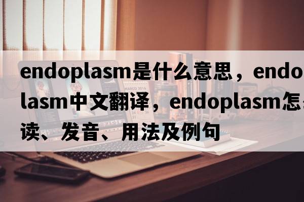 endoplasm是什么意思，endoplasm中文翻译，endoplasm怎么读、发音、用法及例句