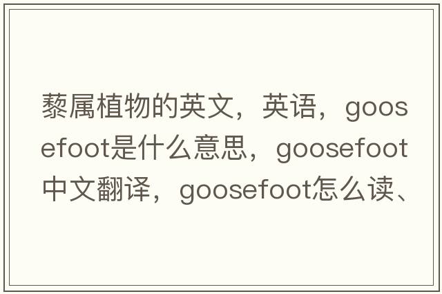 藜属植物的英文，英语，goosefoot是什么意思，goosefoot中文翻译，goosefoot怎么读、发音、用法及例句