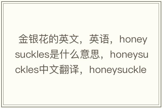  金银花的英文，英语，honeysuckles是什么意思，honeysuckles中文翻译，honeysuckles怎么读、发音、用法及例句