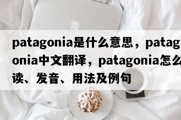 Patagonia是什么意思，Patagonia中文翻译，Patagonia怎么读、发音、用法及例句