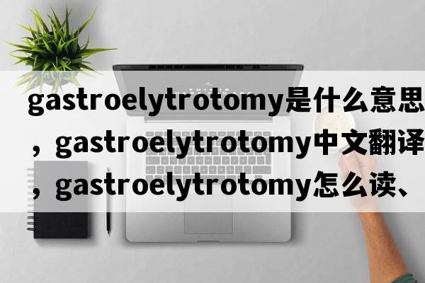 gastroelytrotomy是什么意思，gastroelytrotomy中文翻译，gastroelytrotomy怎么读、发音、用法及例句