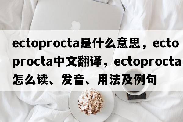 Ectoprocta是什么意思，Ectoprocta中文翻译，Ectoprocta怎么读、发音、用法及例句