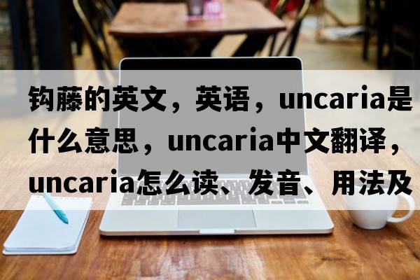 钩藤的英文，英语，uncaria是什么意思，uncaria中文翻译，uncaria怎么读、发音、用法及例句