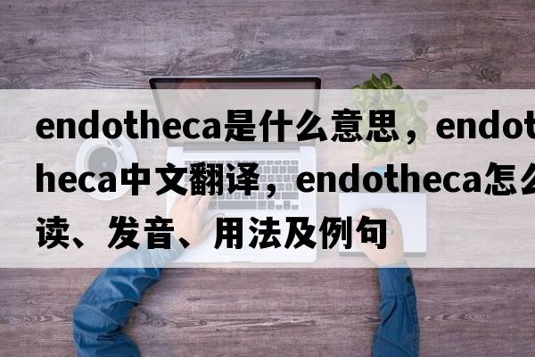 endotheca是什么意思，endotheca中文翻译，endotheca怎么读、发音、用法及例句