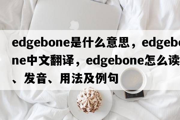 edgebone是什么意思，edgebone中文翻译，edgebone怎么读、发音、用法及例句