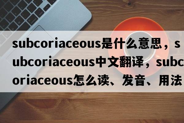 subcoriaceous是什么意思，subcoriaceous中文翻译，subcoriaceous怎么读、发音、用法及例句