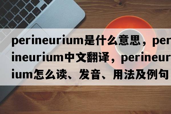 perineurium是什么意思，perineurium中文翻译，perineurium怎么读、发音、用法及例句