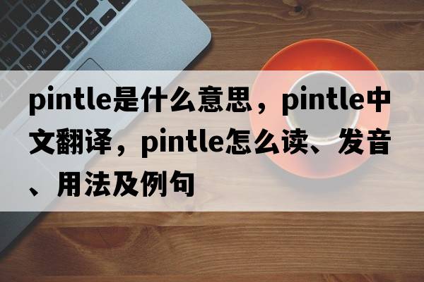 pintle是什么意思，pintle中文翻译，pintle怎么读、发音、用法及例句