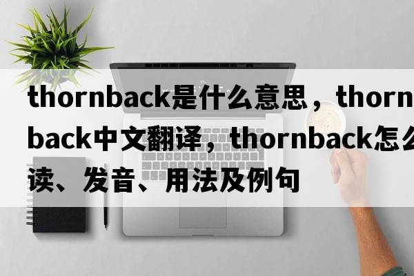 thornback是什么意思，thornback中文翻译，thornback怎么读、发音、用法及例句