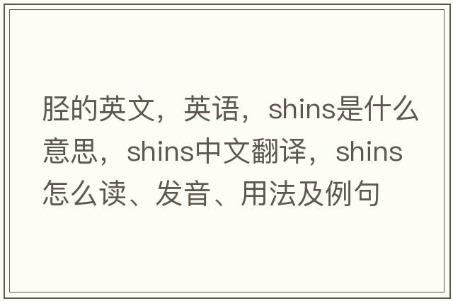 胫的英文，英语，shins是什么意思，shins中文翻译，shins怎么读、发音、用法及例句