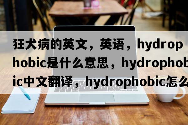 狂犬病的英文，英语，hydrophobic是什么意思，hydrophobic中文翻译，hydrophobic怎么读、发音、用法及例句