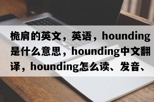 桅肩的英文，英语，hounding是什么意思，hounding中文翻译，hounding怎么读、发音、用法及例句