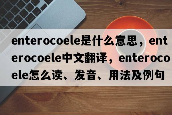 enterocoele是什么意思，enterocoele中文翻译，enterocoele怎么读、发音、用法及例句