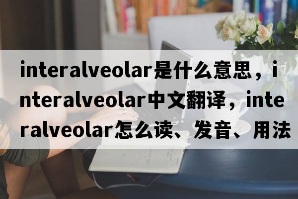 interalveolar是什么意思，interalveolar中文翻译，interalveolar怎么读、发音、用法及例句