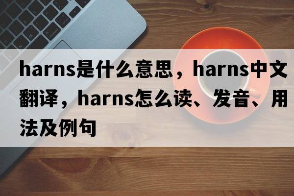 harns是什么意思，harns中文翻译，harns怎么读、发音、用法及例句