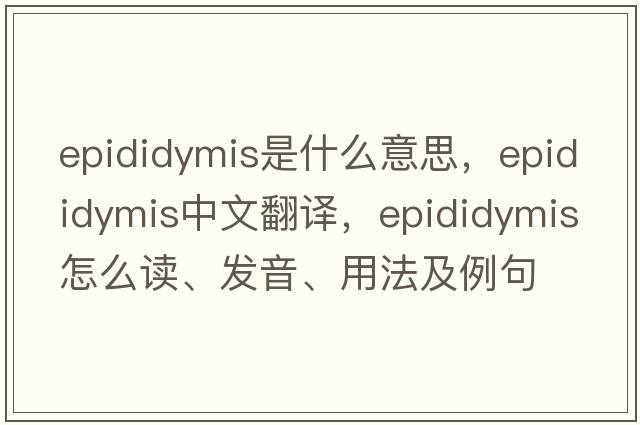 epididymis是什么意思，epididymis中文翻译，epididymis怎么读、发音、用法及例句