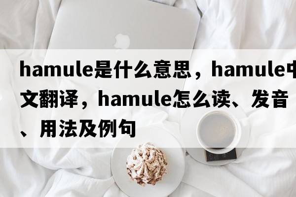 hamule是什么意思，hamule中文翻译，hamule怎么读、发音、用法及例句