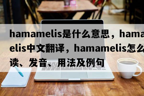 hamamelis是什么意思，hamamelis中文翻译，hamamelis怎么读、发音、用法及例句