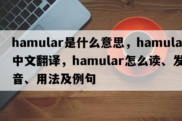 hamular是什么意思，hamular中文翻译，hamular怎么读、发音、用法及例句