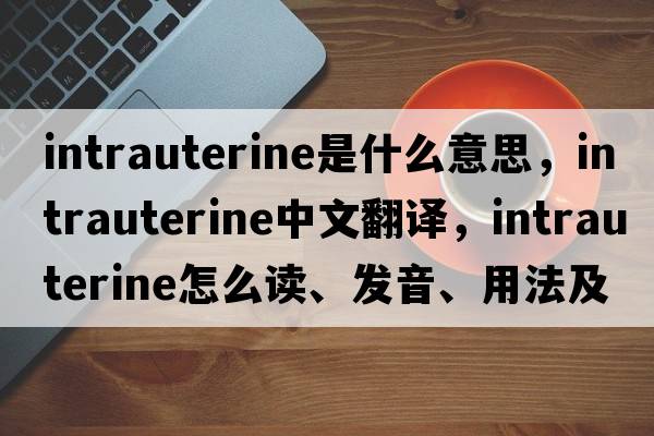 intrauterine是什么意思，intrauterine中文翻译，intrauterine怎么读、发音、用法及例句