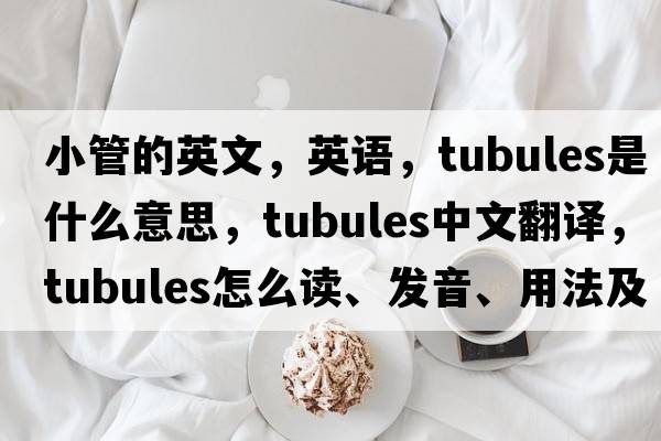 小管的英文，英语，Tubules是什么意思，Tubules中文翻译，Tubules怎么读、发音、用法及例句