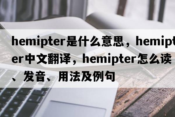 hemipter是什么意思，hemipter中文翻译，hemipter怎么读、发音、用法及例句